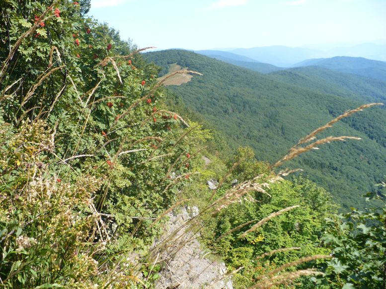 Rabia Skała (1199 m, 1169 m n.p.m.)