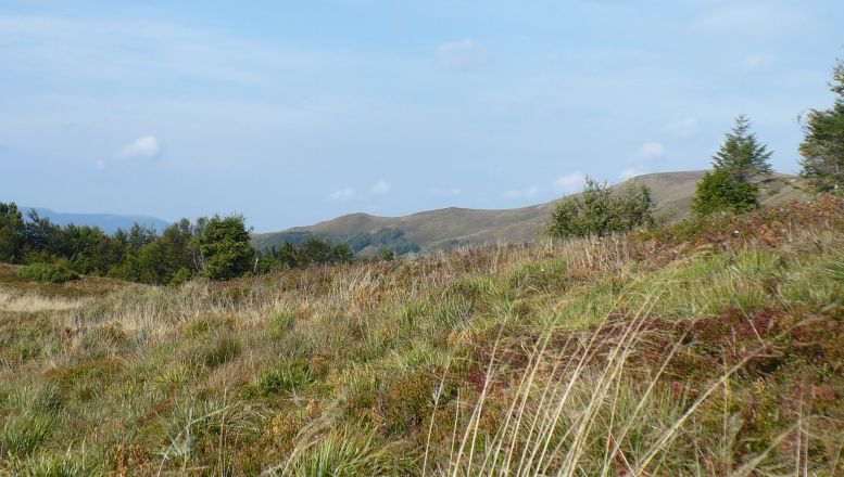 Szeroki Wierch (1315 m n.p.m.)